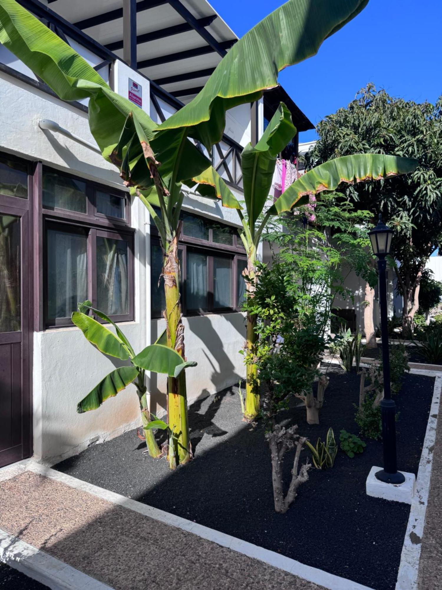 Casa Ana Puerto Del Carmen Apartamento Tías Exterior foto